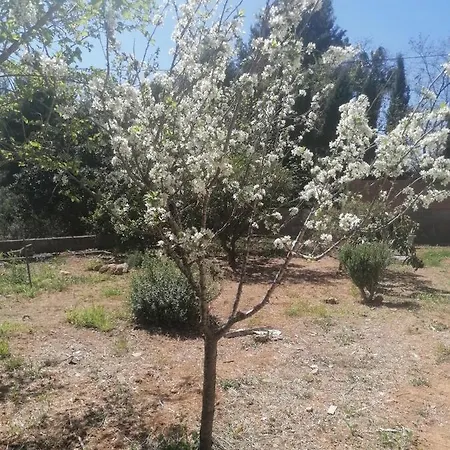 Holiday home Casa Mans Albalat/sagunto *